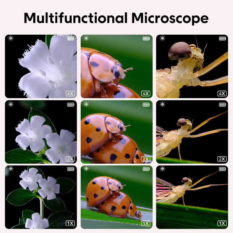 Mini Kids Optical Microscope W - Toys For Kids Video recension och pris